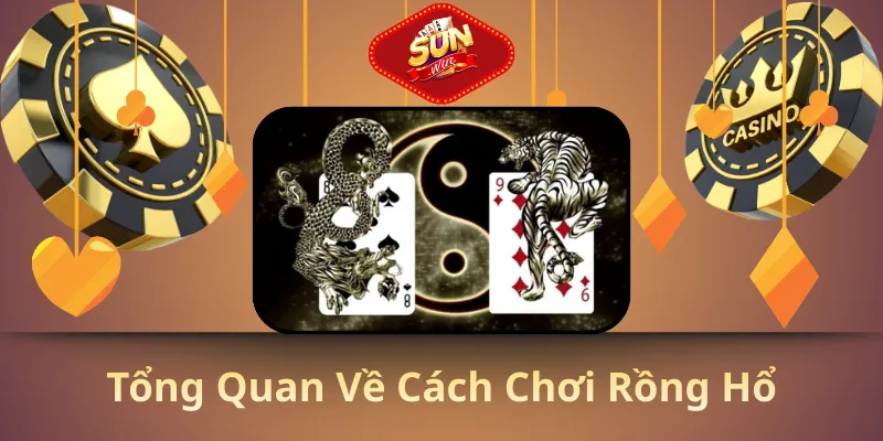 Tổng quan về cách chơi rồng hổ
