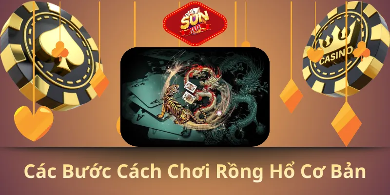 Các bước cách chơi rồng hổ cơ bản