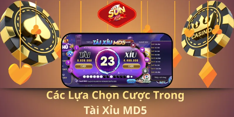 Các lựa chọn cược trong tài xỉu md5